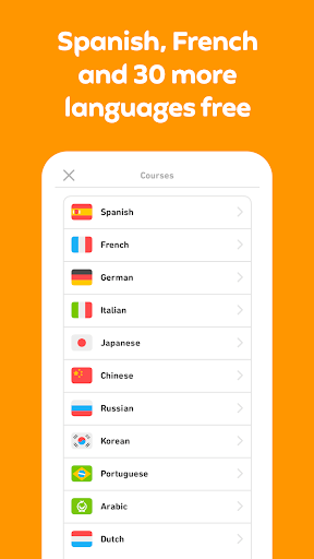 Duolingo: language lessons