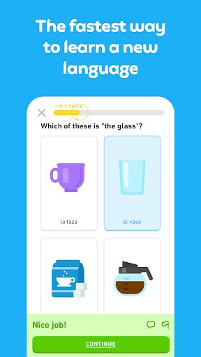 Duolingo: language lessons